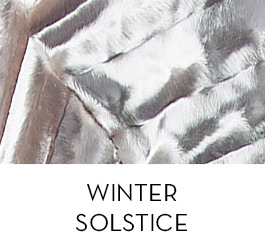 Debbie Bone-Harris Winter Solstice Gallery
